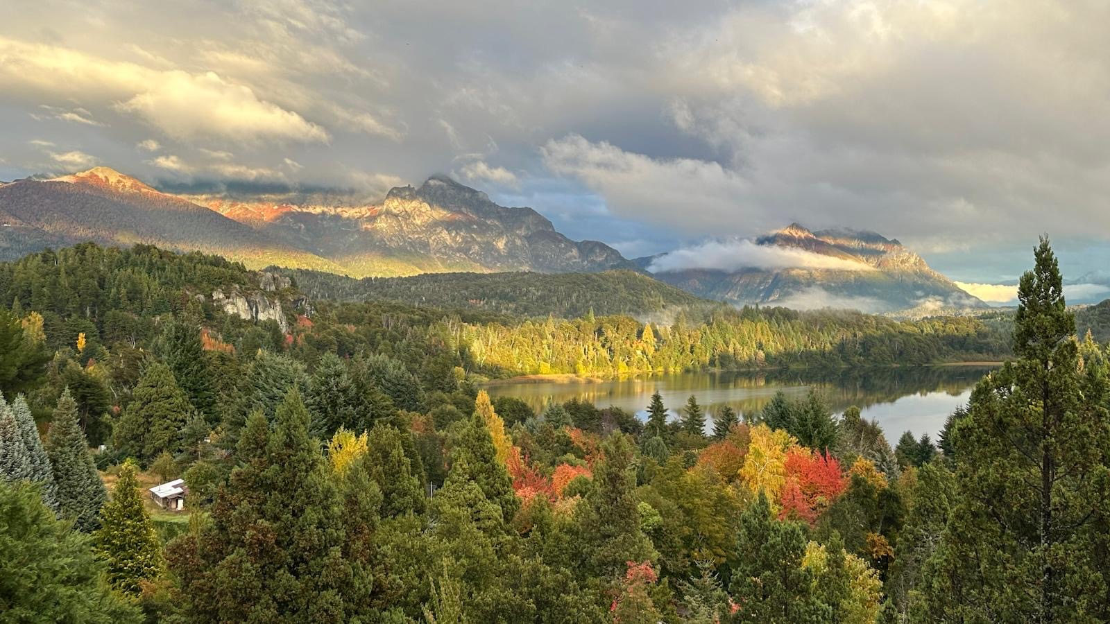 Bosque con colores dorados y rojizos en otoño, con el lago de fondo